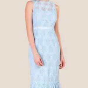 New Miami for Francesca’s Boutique Pale Blue Lace Midi Dress